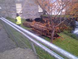 millstreet 10710.jpg